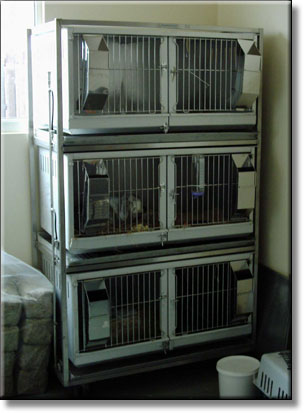 Small animal cages